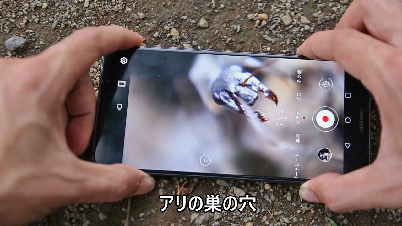 世界最小クラス スマホを最大800倍率の顕微鏡に変える指先サイズのレンズ Campfire キャンプファイヤー 世界最小クラス スマホを最大800倍率の顕微鏡に変える指先サイズのレンズ Campfire キャンプファイヤー