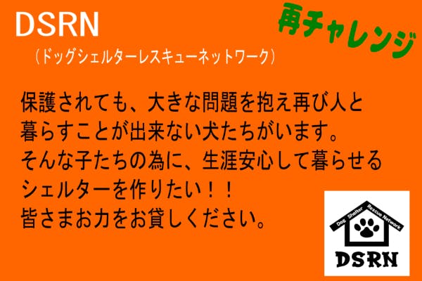 一般譲渡出来ない保護犬が 生涯安心して過ごせる居場所 シェルターを作りたい Campfire キャンプファイヤー