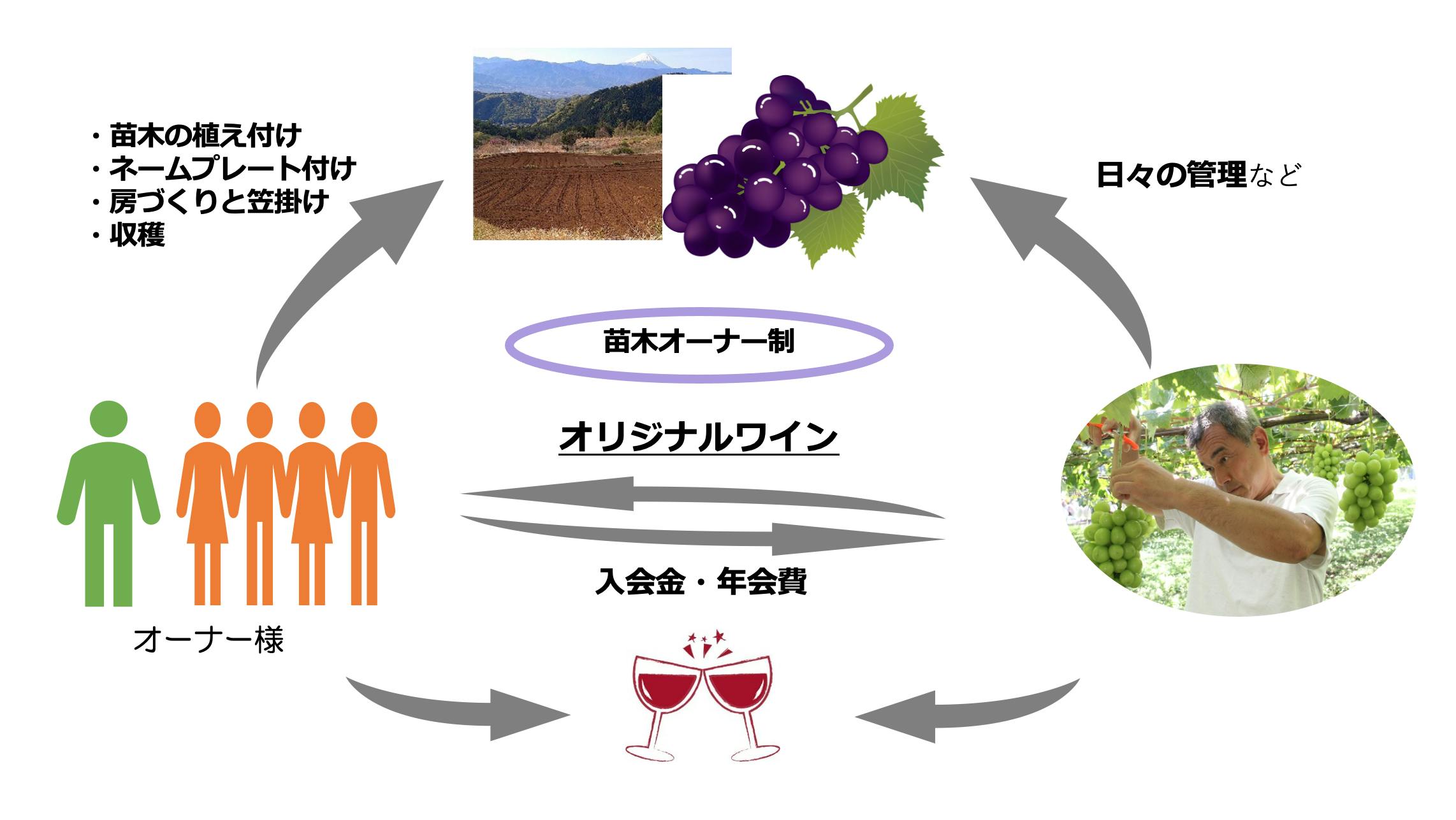 ふるさと納税 山梨市 サントネージュワインが贈るシャルドネとメルロー2本セット