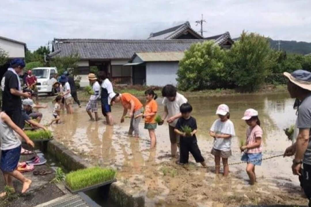 お米やお野菜を作る子ども食堂と甲田式健康道場を次世代へ繋ぎたい