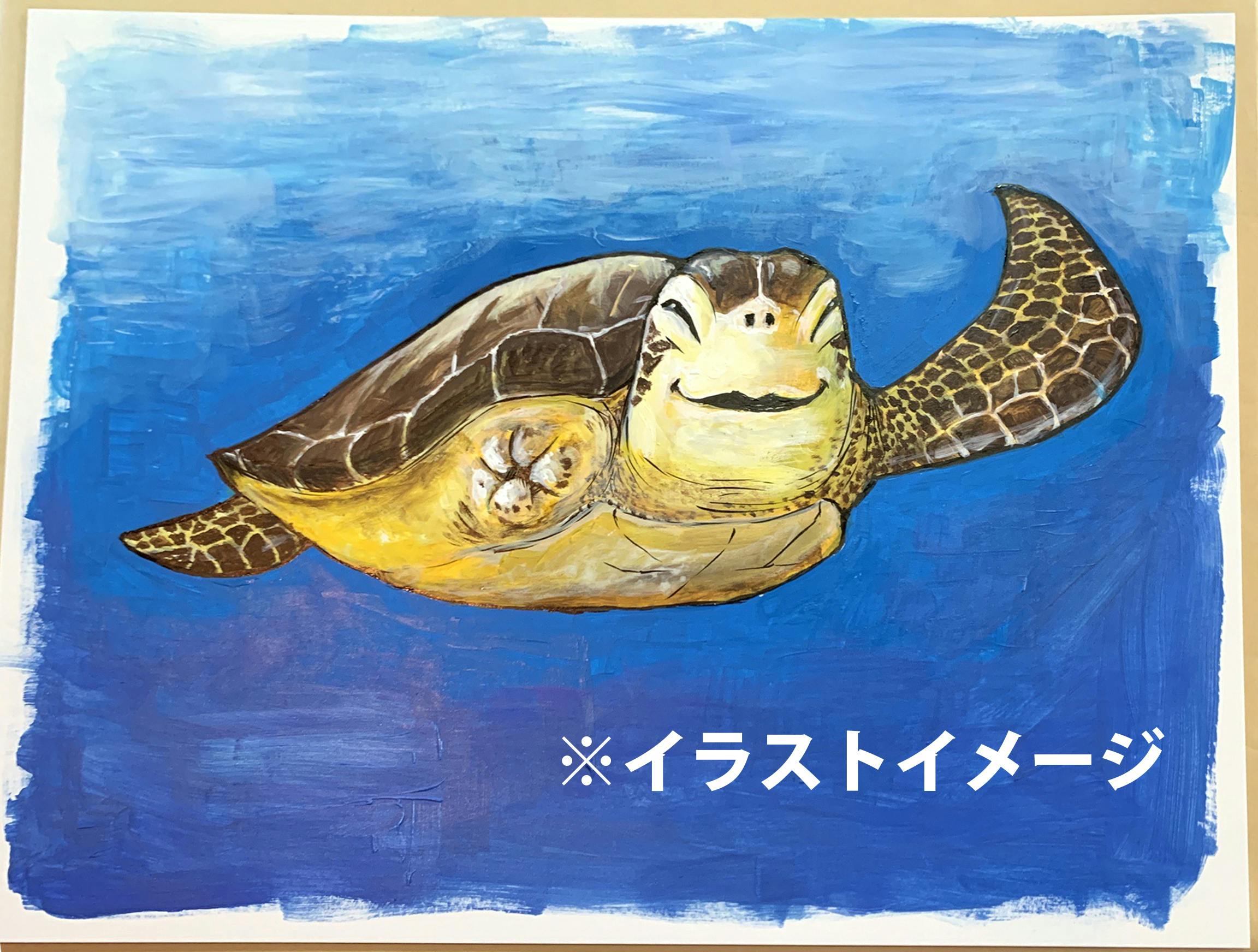 片足のウミガメ「リブ」の絵本を全国へ！隠岐の島のみんなの思いで海を守りたい！