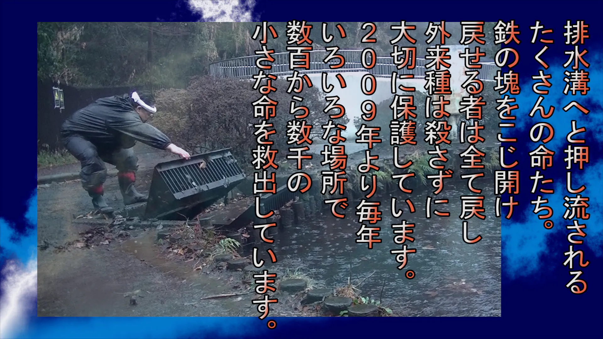 小さな命達 ザリガニ カエル トンボ等 のシェルターを作らせて下さい Campfire キャンプファイヤー 小さな命達 ザリガニ カエル トンボ等 のシェルターを作らせて下さい Campfire キャンプファイヤー
