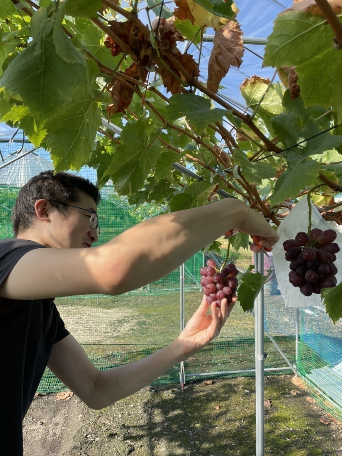 5番目のメイン画像