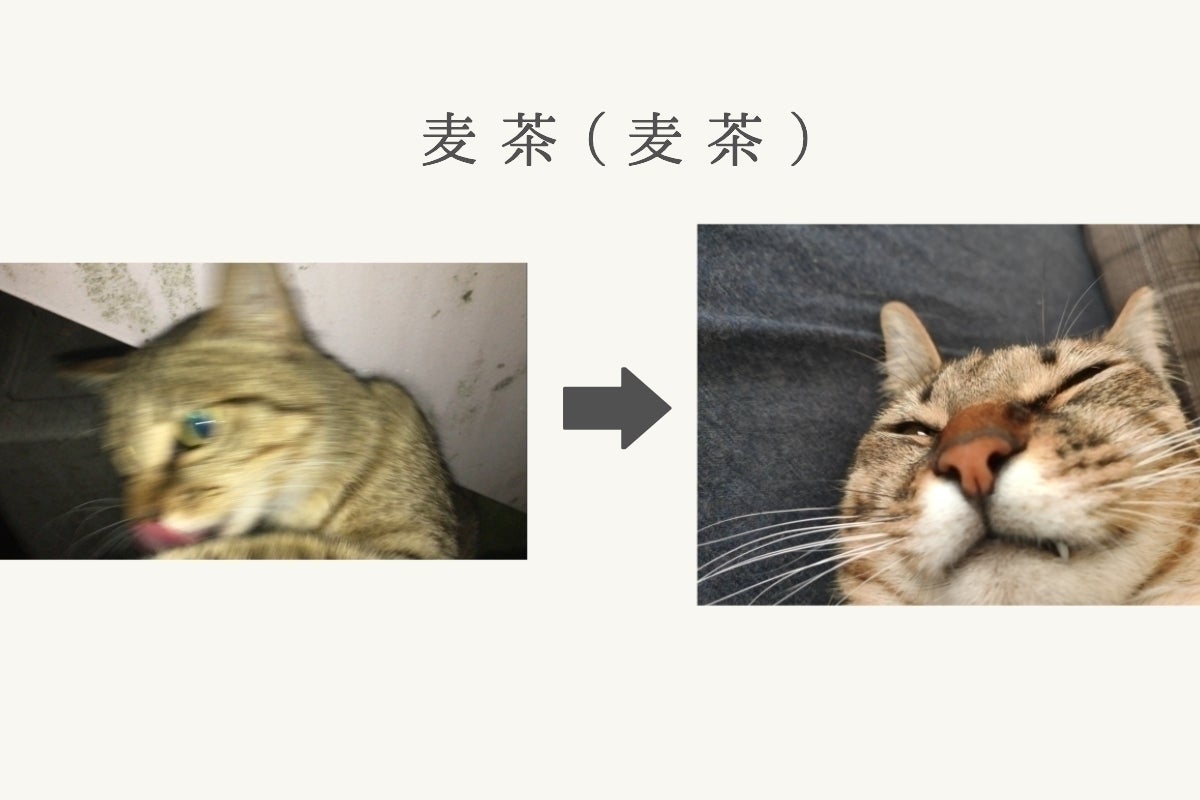 2番目のメイン画像
