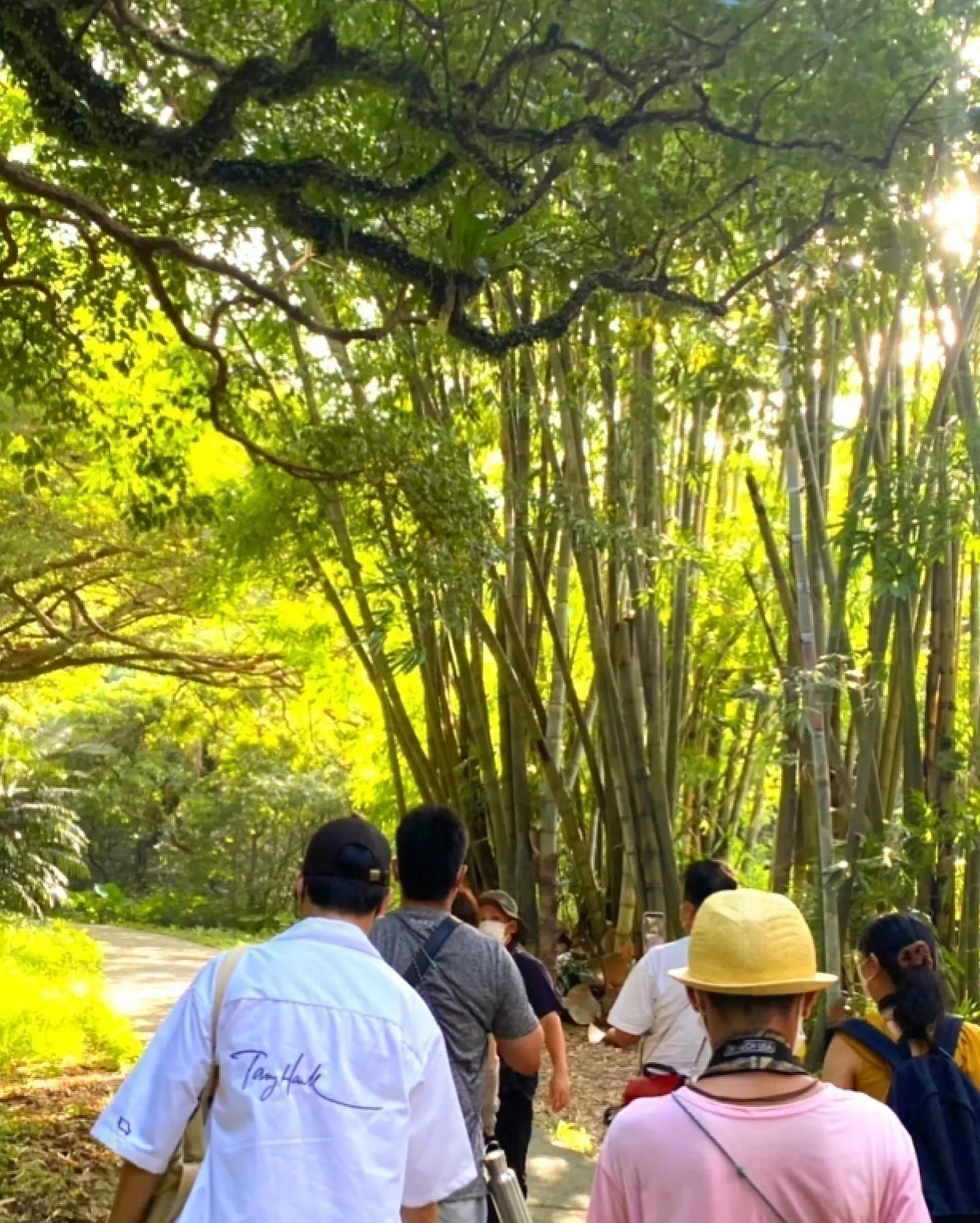 5番目のメイン画像