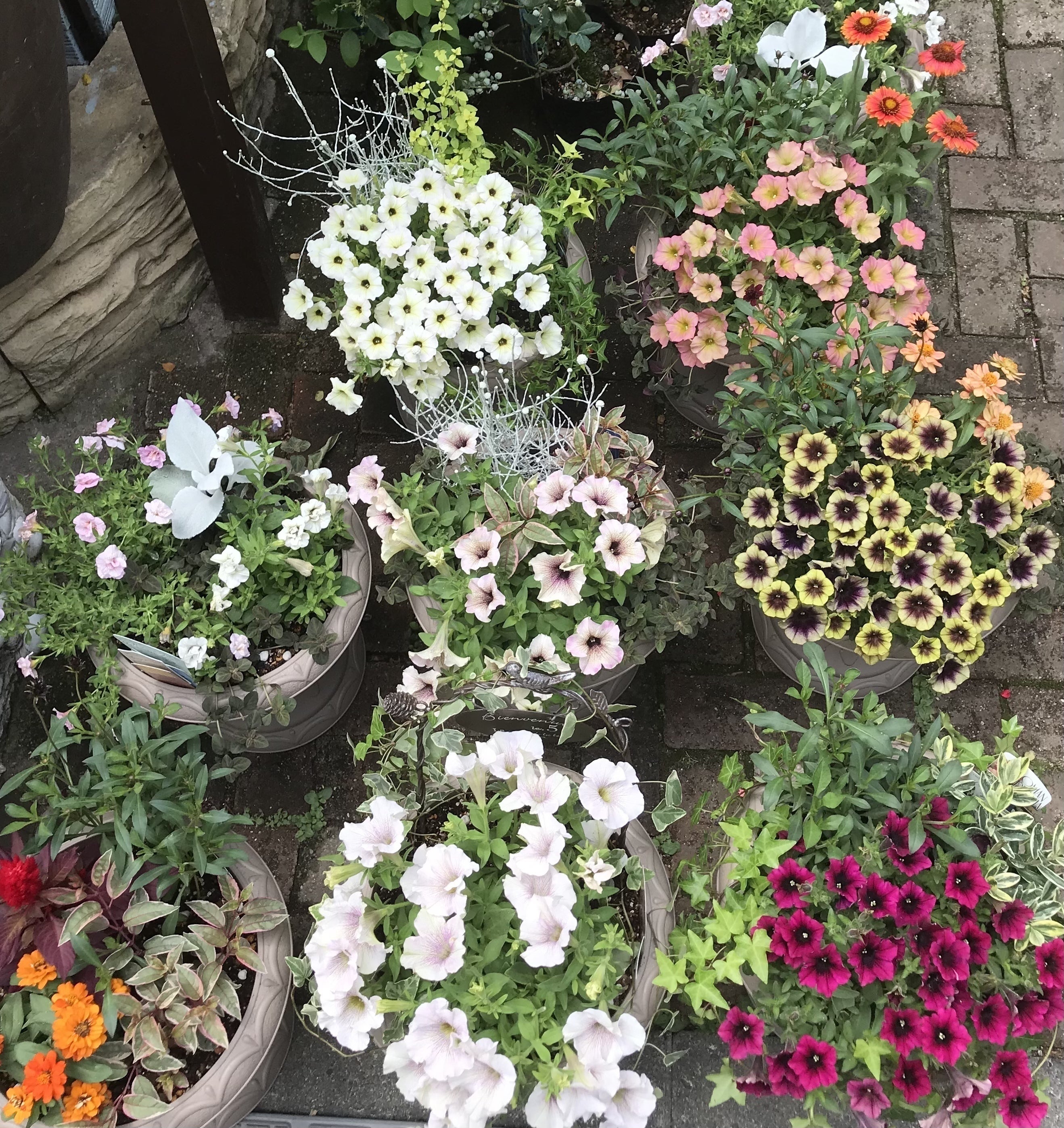 3番目のメイン画像