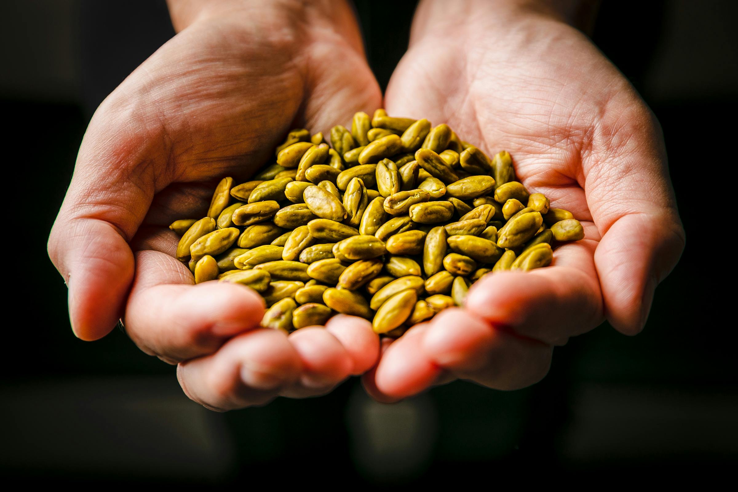 外苑前のレストラン Julia が 大人専用 ピスタチオチーズケーキを限定販売 Campfire キャンプファイヤー 外苑前のレストラン Julia が 大人専用 ピスタチオチーズケーキを限定販売 Campfire キャンプファイヤー