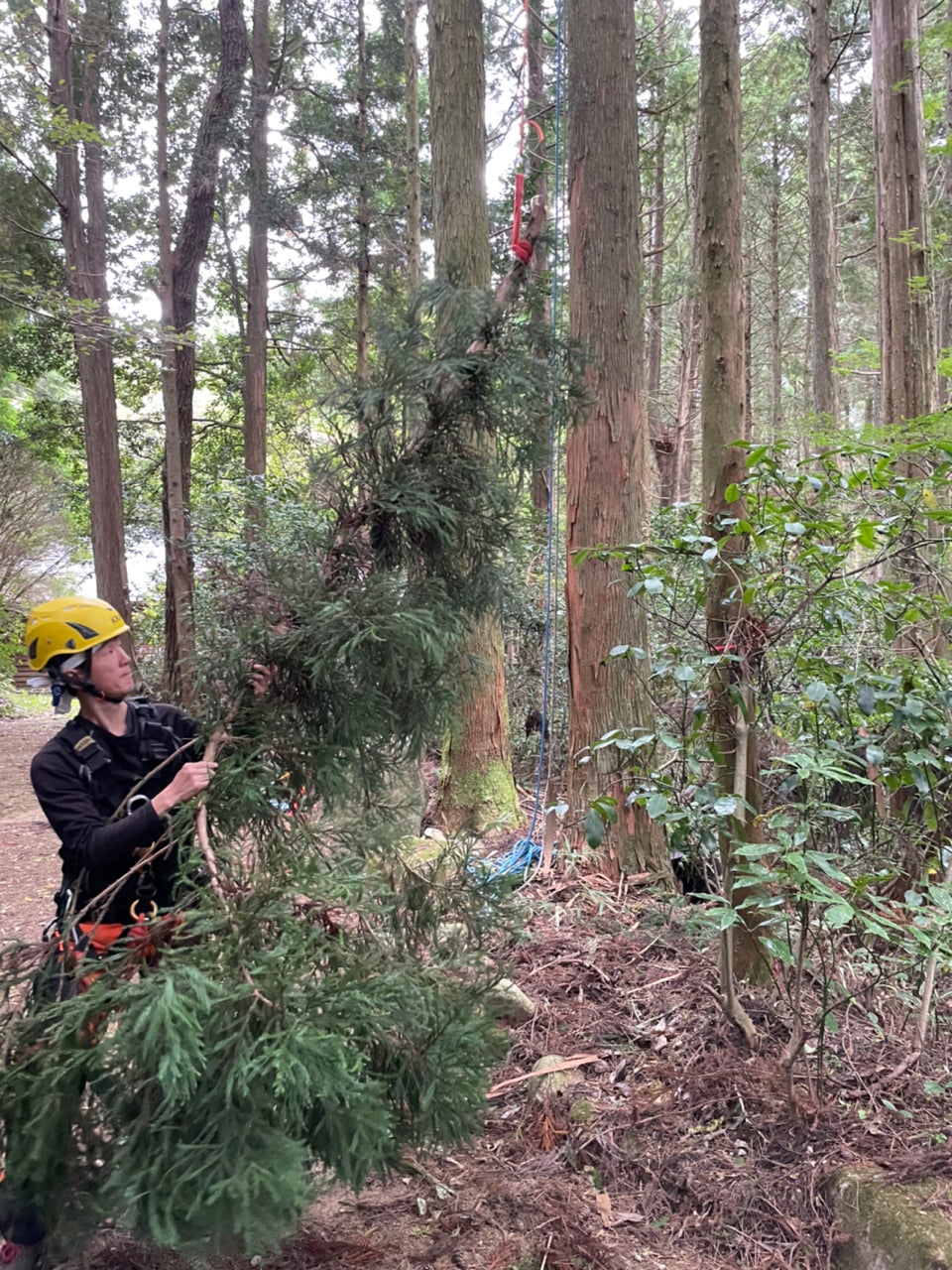 3番目のメイン画像