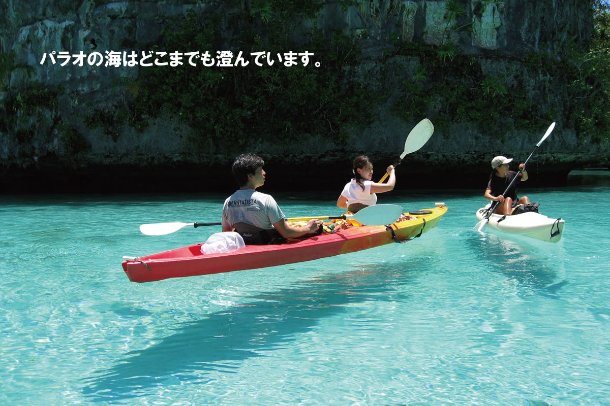 パラオホワイトクレイ が届ける透明美肌 薬用美白クレイパックと洗顔で感動実感 Campfire キャンプファイヤー パラオホワイトクレイ が届ける透明美肌 薬用美白クレイパックと洗顔で感動実感 Campfire キャンプファイヤー