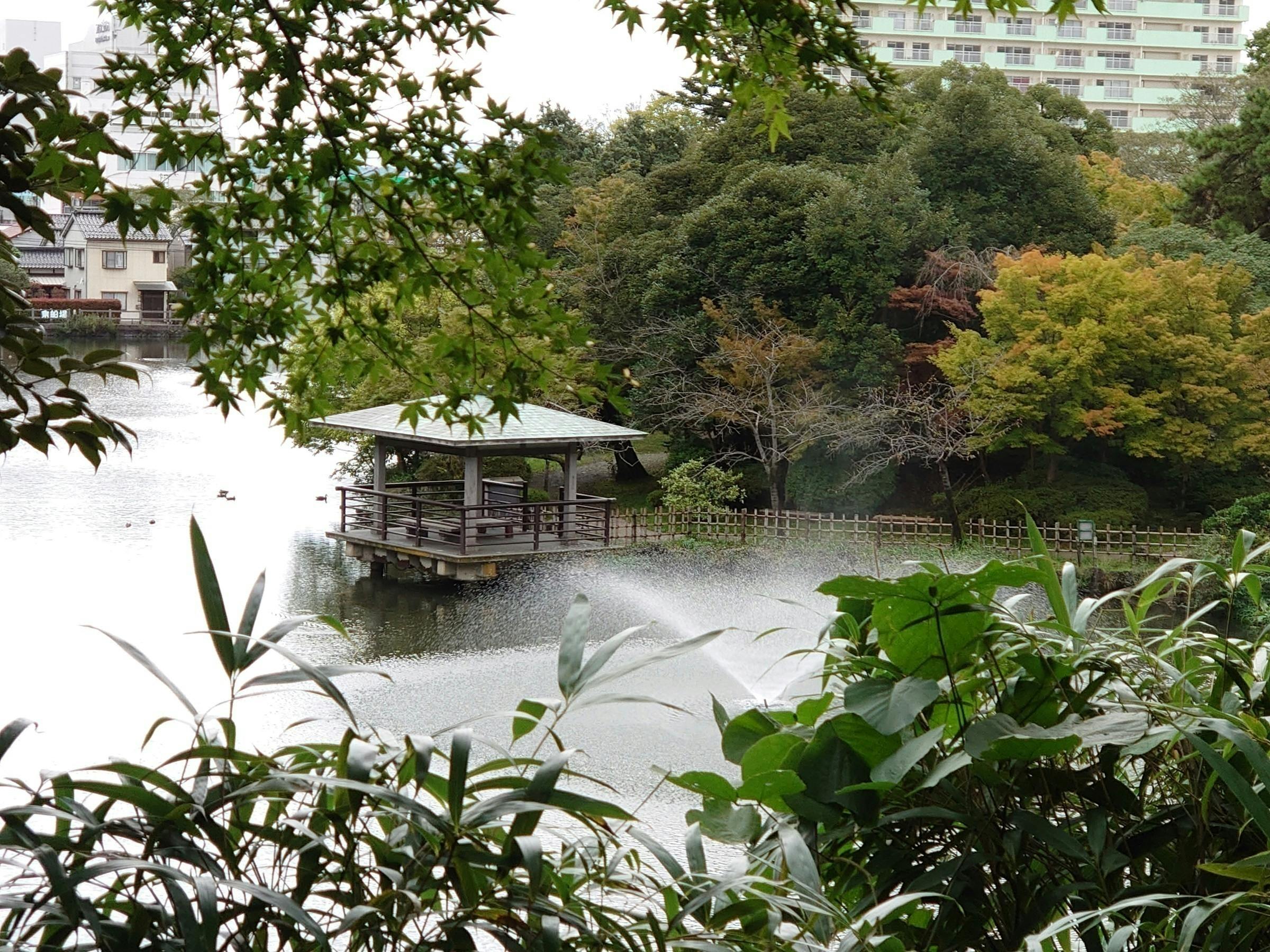 高岡市 桜100選 高岡古城公園 の傷んだ桜の木を植え替えたい Campfire キャンプファイヤー