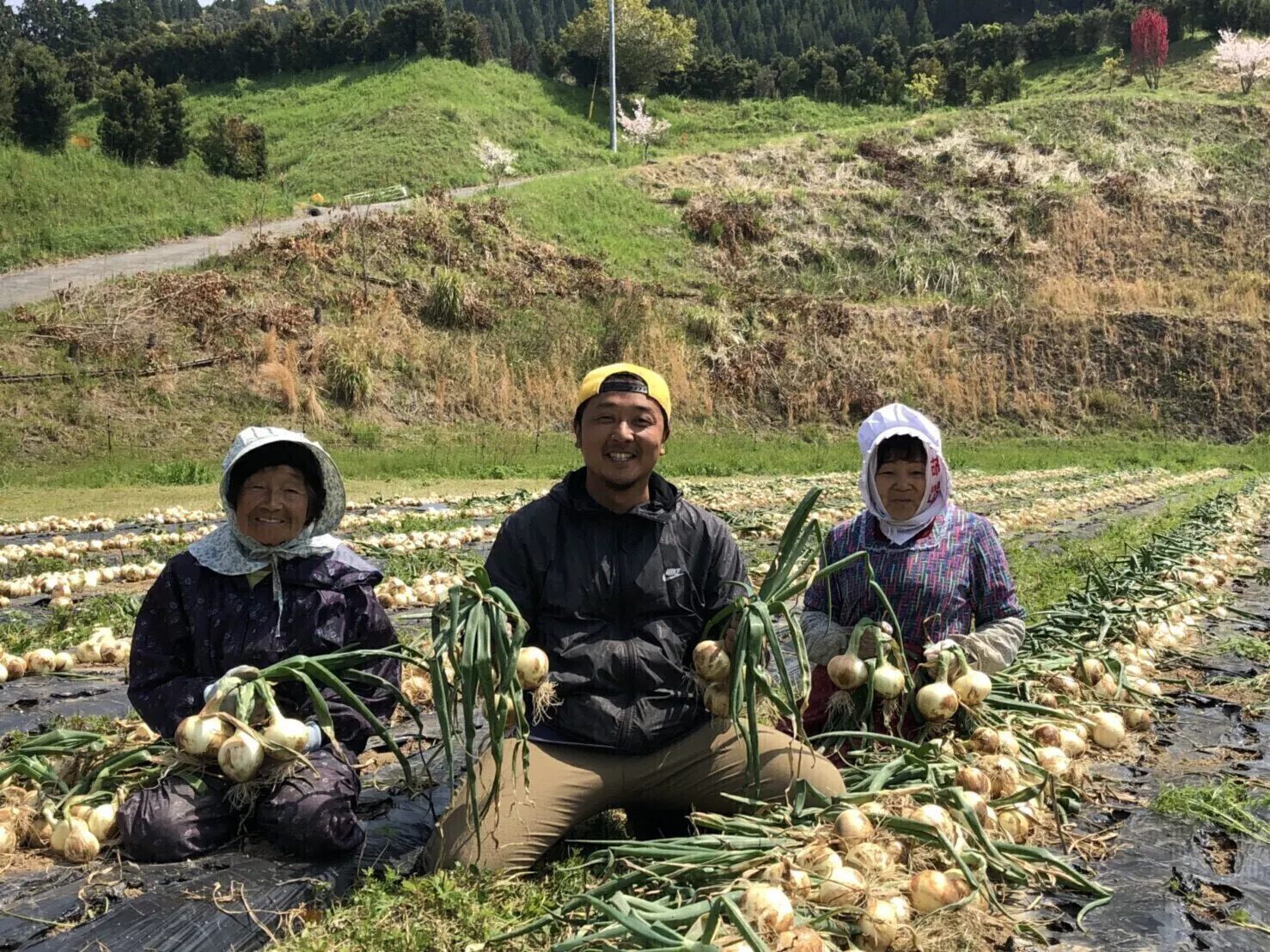 4番目のメイン画像