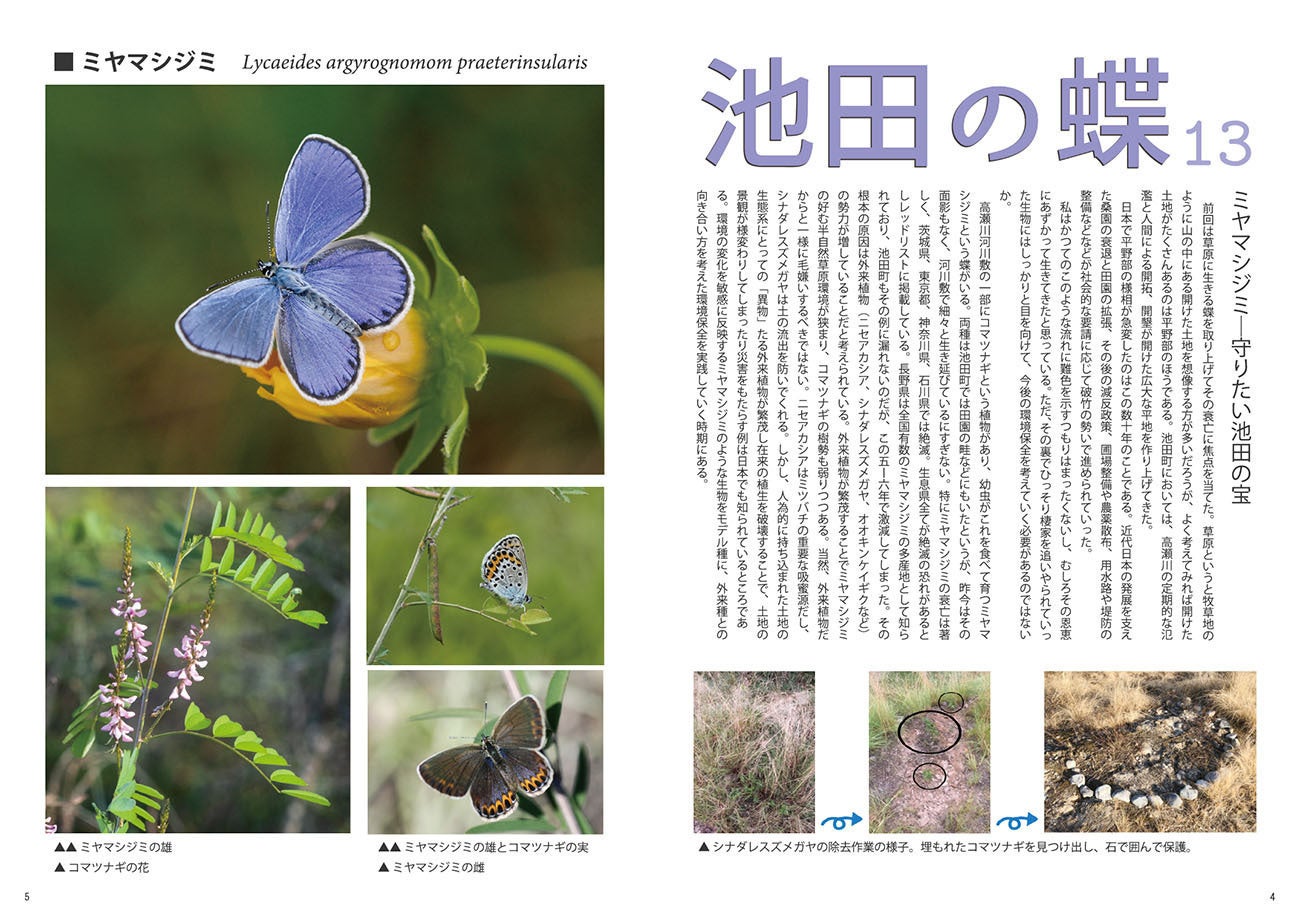 4番目のメイン画像