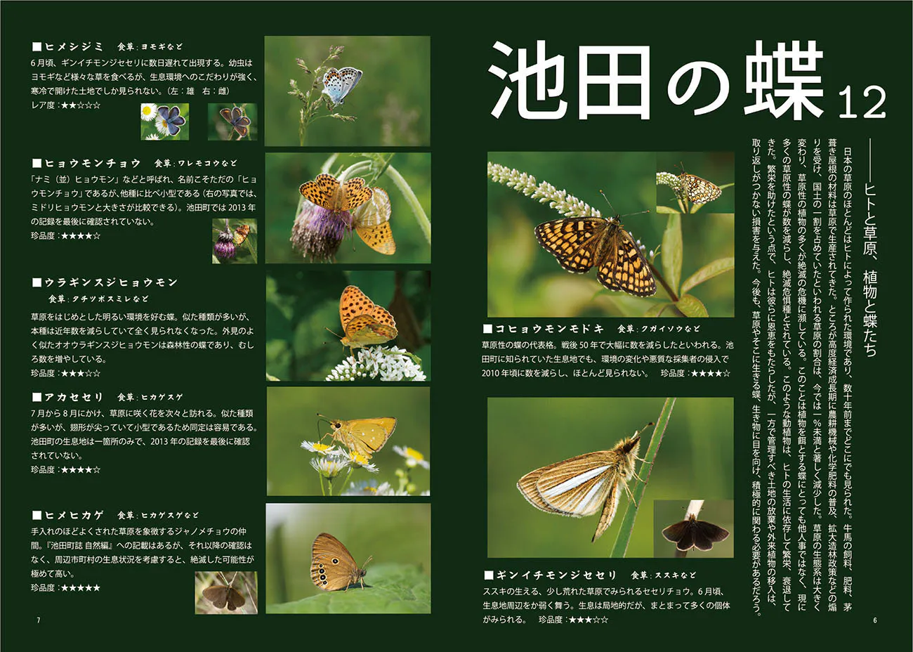 116種の蝶の魅力と自然環境の豊かさを伝えるために 池田の蝶図鑑 を発刊したい Campfire キャンプファイヤー 116種の蝶の魅力と自然環境の豊かさを伝えるために 池田の蝶図鑑 を発刊したい Campfire キャンプファイヤー