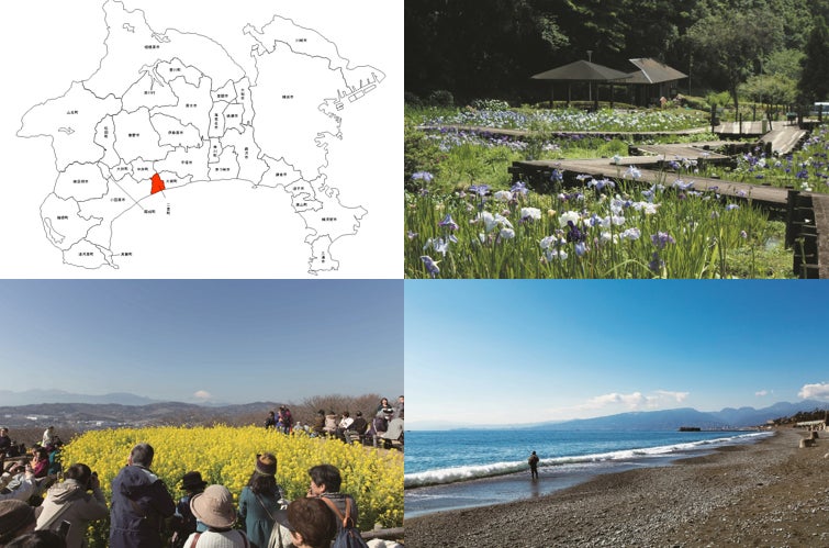 3番目のメイン画像