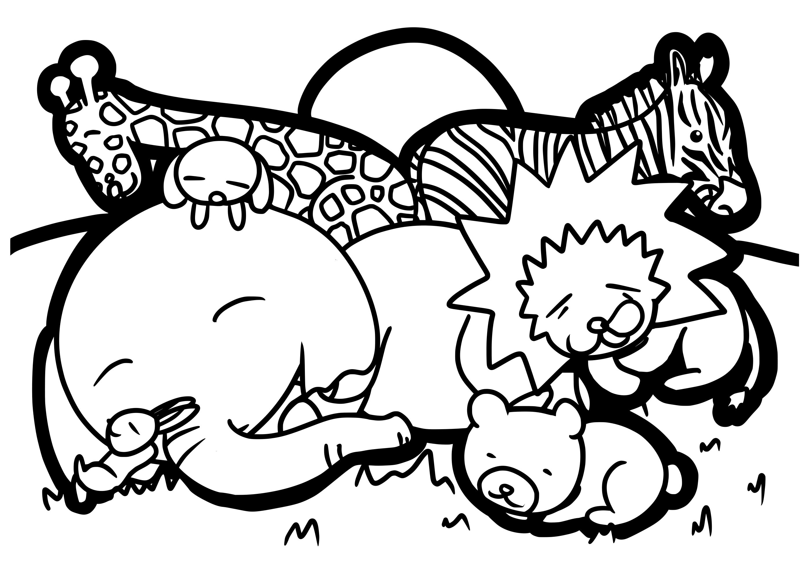 3番目のメイン画像