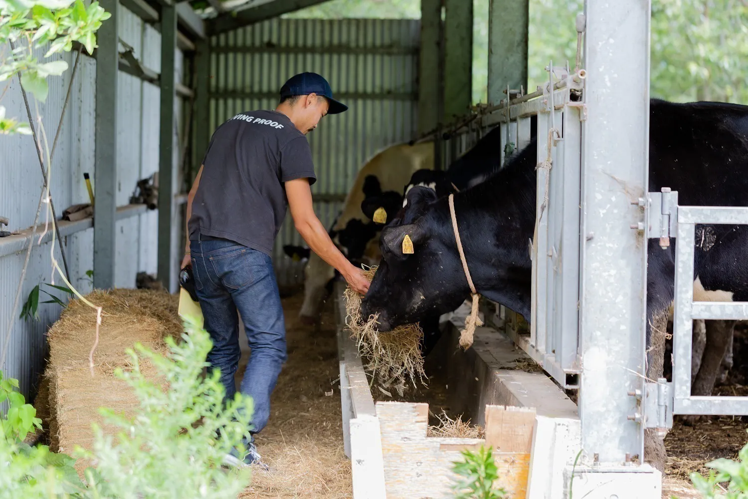 4番目のメイン画像