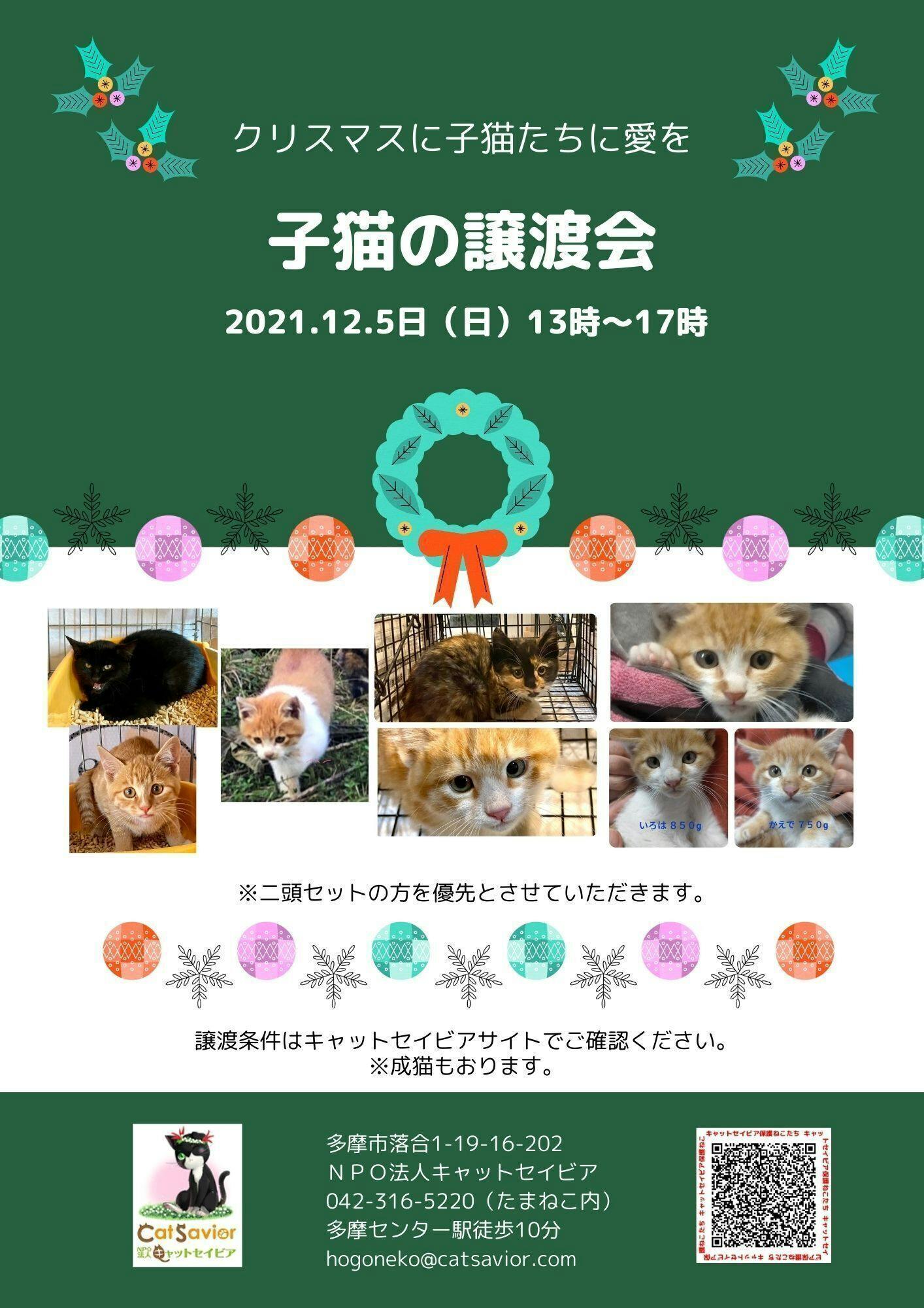 東京都多摩市に初の飼い主のいない猫専用施設を作ります！ - CAMPFIRE