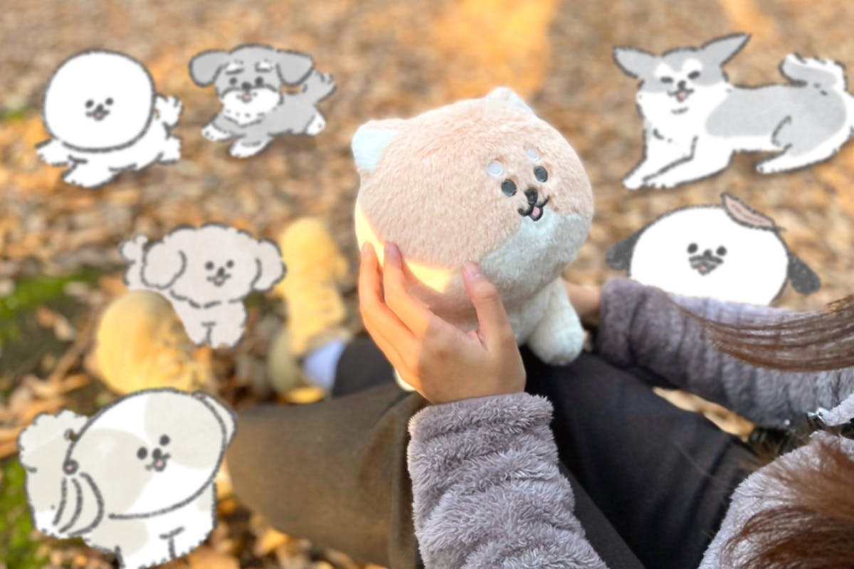 こんにちは いぬです ぬいぐるみ化プロジェクト Campfire キャンプファイヤー こんにちは いぬです ぬいぐるみ化プロジェクト Campfire キャンプファイヤー