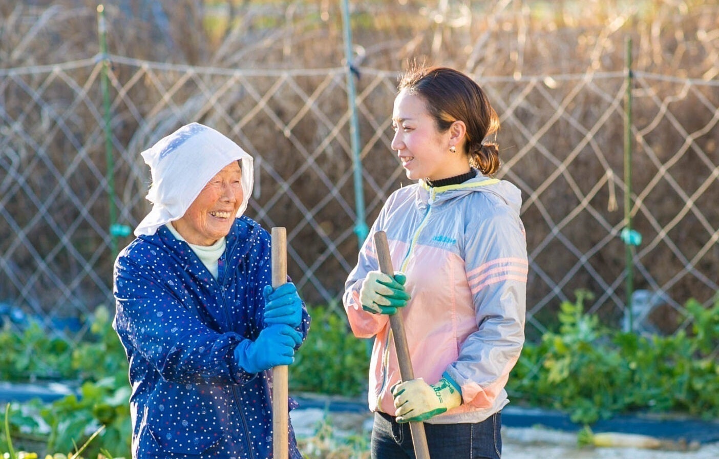 5番目のメイン画像