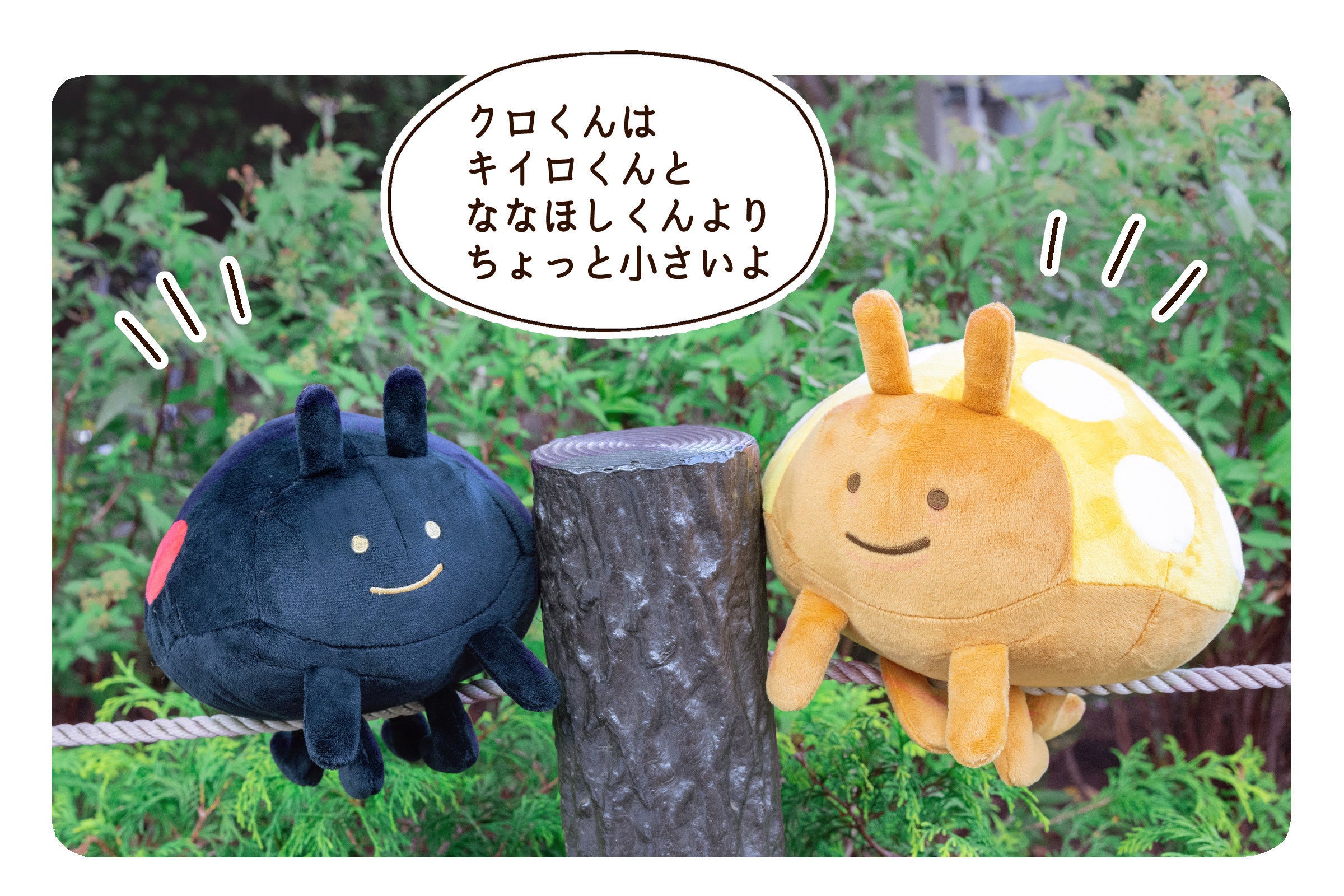 第2弾 毎日てんとう虫 キイロくん クロくん ぬいぐるみプロジェクト Campfire キャンプファイヤー 第2弾 毎日てんとう虫 キイロくん クロくん ぬいぐるみプロジェクト Campfire キャンプファイヤー