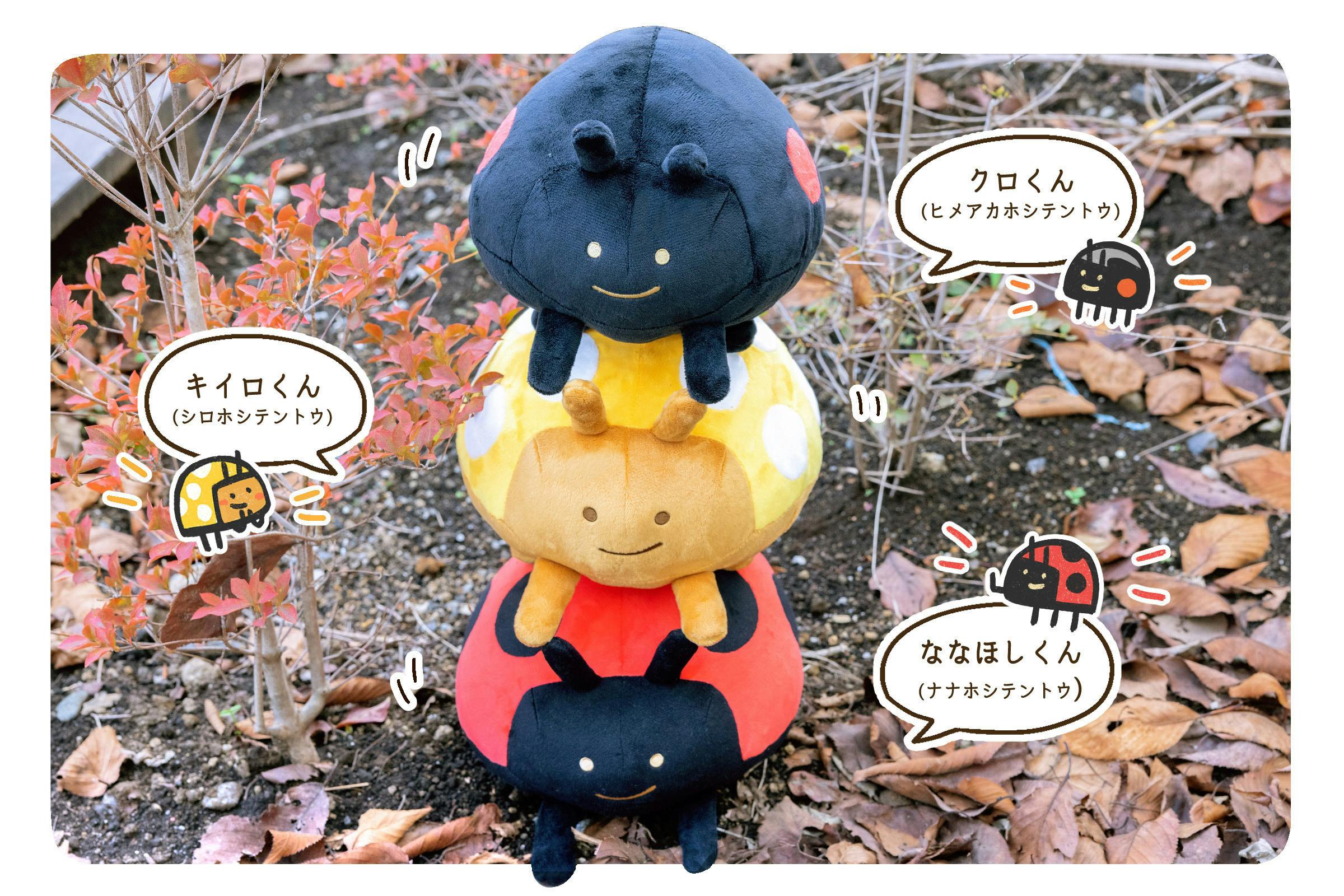 第2弾 毎日てんとう虫 キイロくん クロくん ぬいぐるみプロジェクト Campfire キャンプファイヤー 第2弾 毎日てんとう虫 キイロくん クロくん ぬいぐるみプロジェクト Campfire キャンプファイヤー