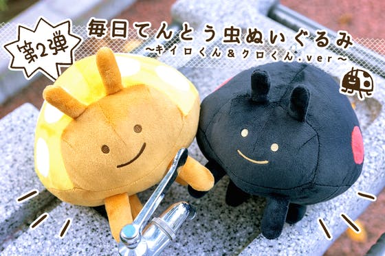 第2弾 毎日てんとう虫 キイロくん クロくん ぬいぐるみプロジェクトの支援者一覧 Campfire キャンプファイヤー