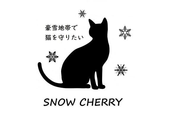 豪雪地帯で野良猫を保護する【雪猫シェルター Snow Cherry】