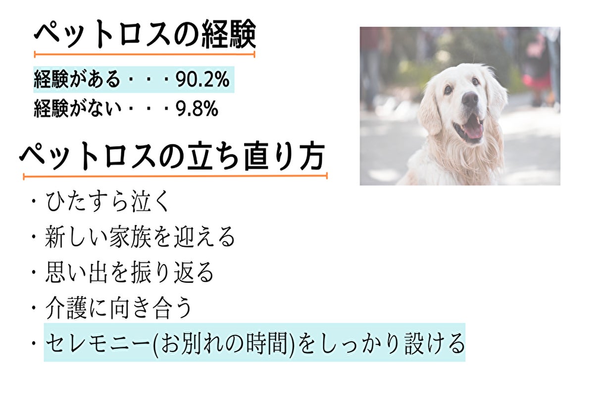 愛知県新城市で家族の最期を美しくする ペットのおくりびと サロンをopenしたい Campfire キャンプファイヤー 愛知県新城市で家族の最期を美しくする ペットのおくりびと サロンをopenしたい Campfire キャンプファイヤー