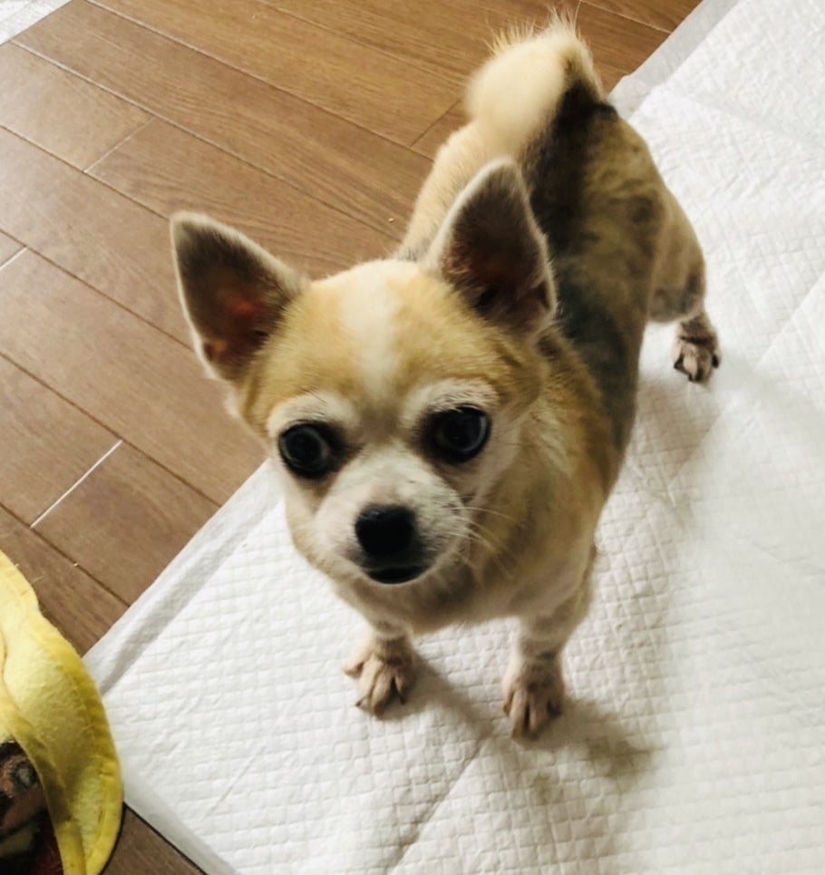 4番目のメイン画像