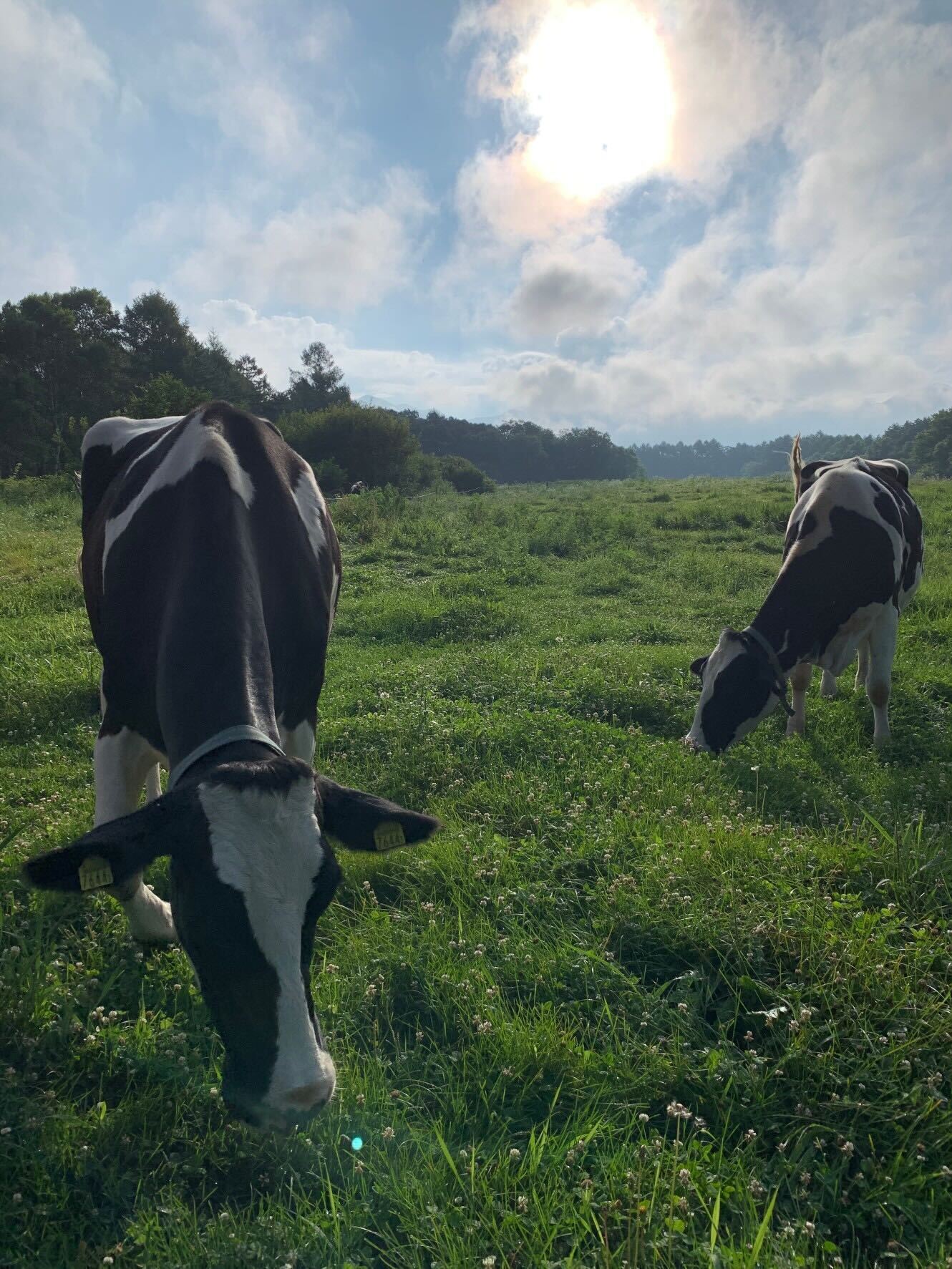 4番目のメイン画像