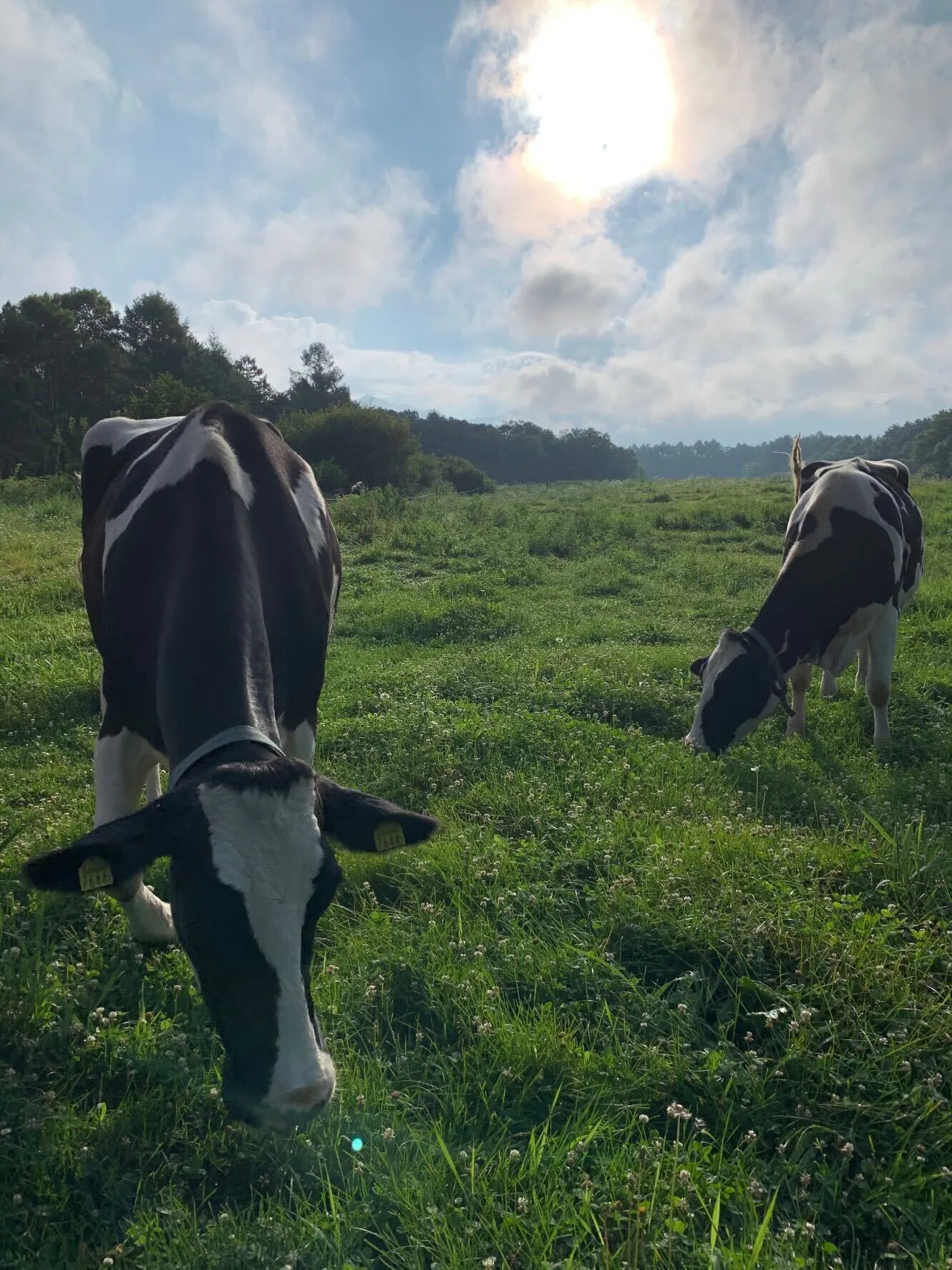 4番目のメイン画像