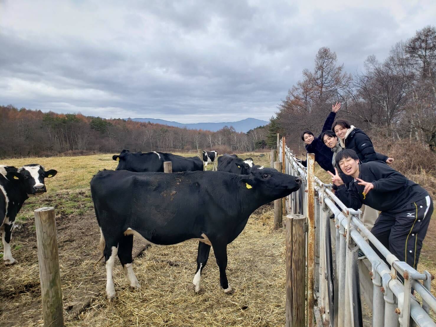 5番目のメイン画像