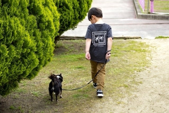 福岡わんにゃん里親サポート 保護犬 保護猫 引退犬など次の飼い主様に譲渡したい Campfire キャンプファイヤー 福岡わんにゃん里親サポート 保護犬 保護猫 引退犬など次の飼い主様に譲渡したい Campfire キャンプファイヤー