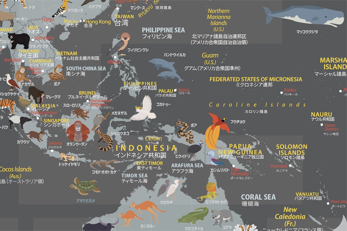 知育とインテリアのための世界地図 どうぶつ沢山 旅のワクワクも子供と一緒に Campfire キャンプファイヤー 知育とインテリアのための世界地図 どうぶつ沢山 旅のワクワクも子供と一緒に Campfire キャンプファイヤー