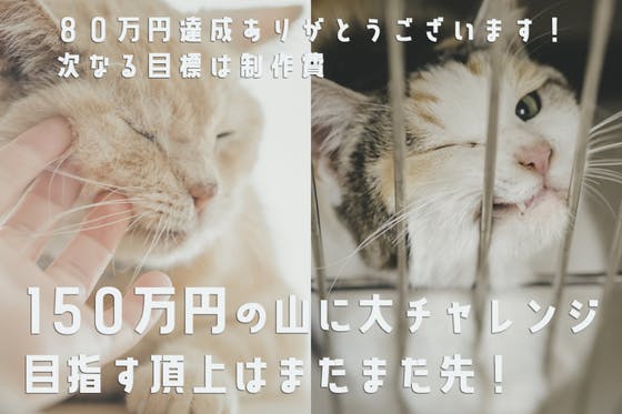 22年8月/東京の中心で わんちゃんねこちゃんの殺処分を減らす写真展を開催したい
