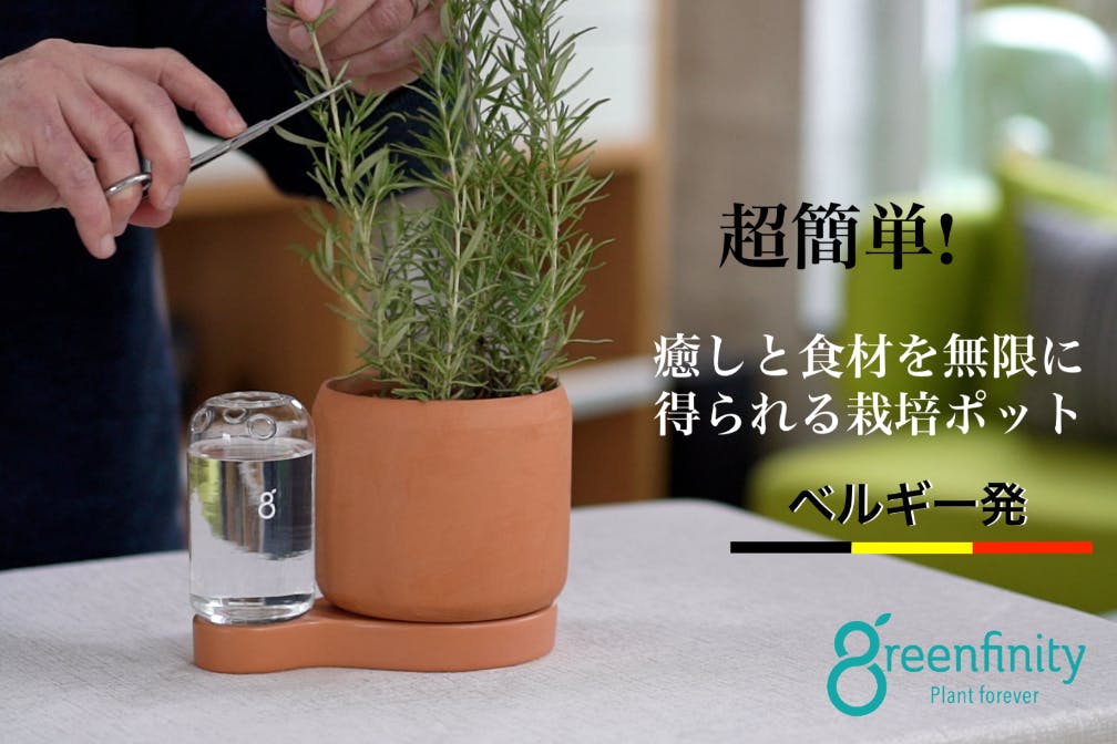 挿し木を育て永遠に植えることができる循環型植物栽培ポットgreenfinity Campfire キャンプファイヤー