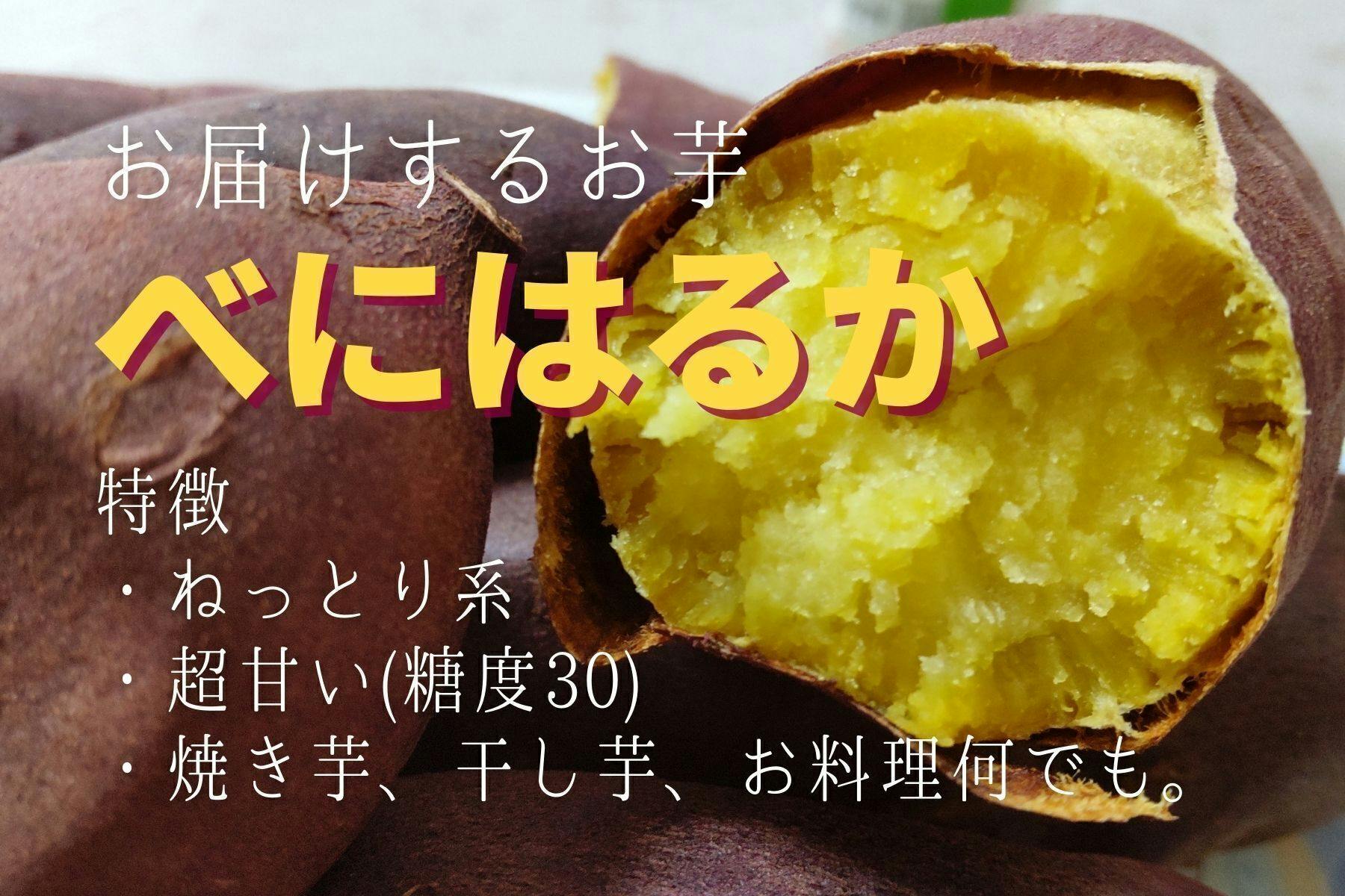 跡継ぎ無し 農作業が出来なくなった高齢農家 さいごのサツマイモ を助けてください Campfire キャンプファイヤー 跡継ぎ無し 農作業が出来なくなった高齢農家 さいごのサツマイモ を助けてください Campfire キャンプファイヤー