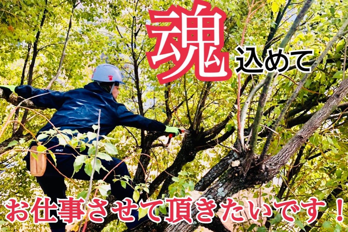 広島から全国へ 新しい 造園屋さん の形を確立し 魂込めて 皆様のお役に立ちます Campfire キャンプファイヤー