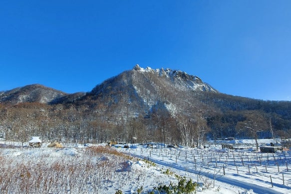 1番目のメイン画像