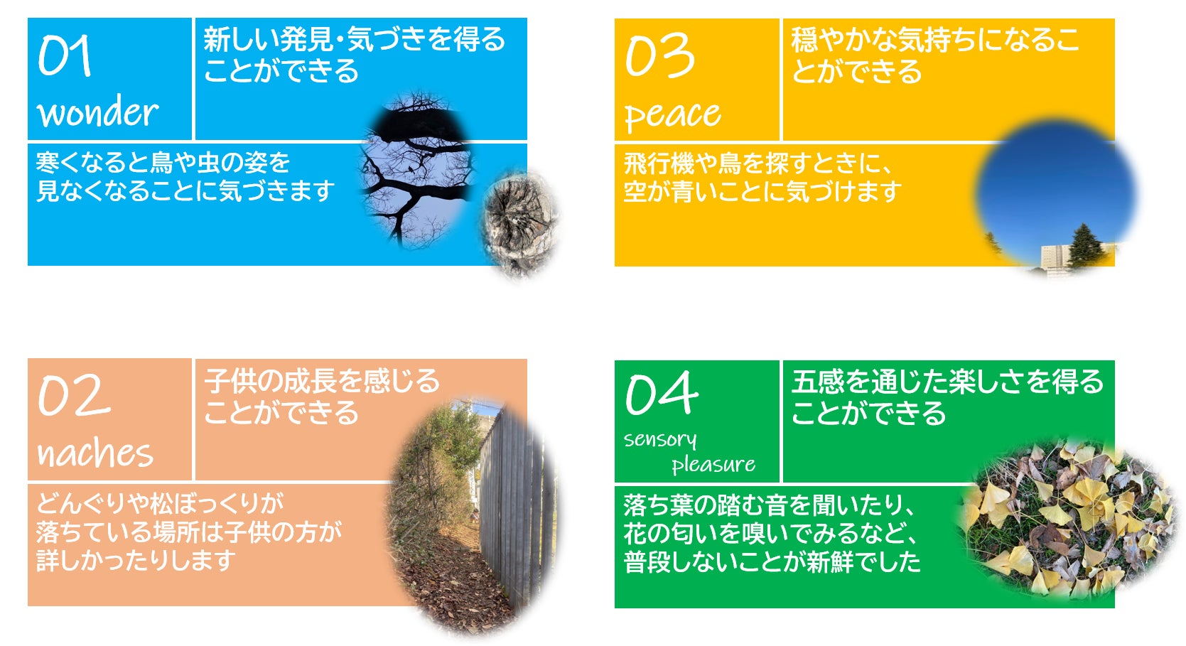 五感を使って楽しむ遊び フィールドビンゴ のアプリ版 Dingo を作りたい Campfire キャンプファイヤー 五感を使って楽しむ遊び フィールドビンゴ のアプリ版 Dingo を作りたい Campfire キャンプファイヤー