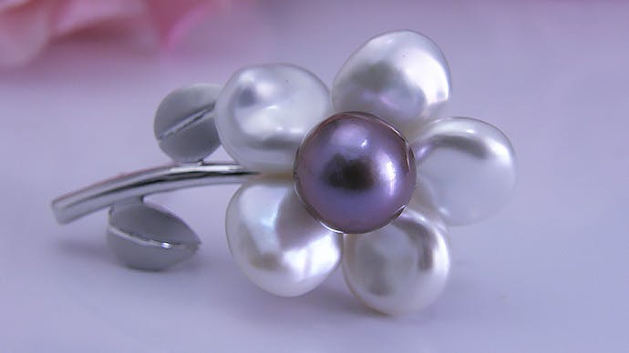 紫色の真珠を広めたい　～想像を絶する苦労の末に出来た真珠～