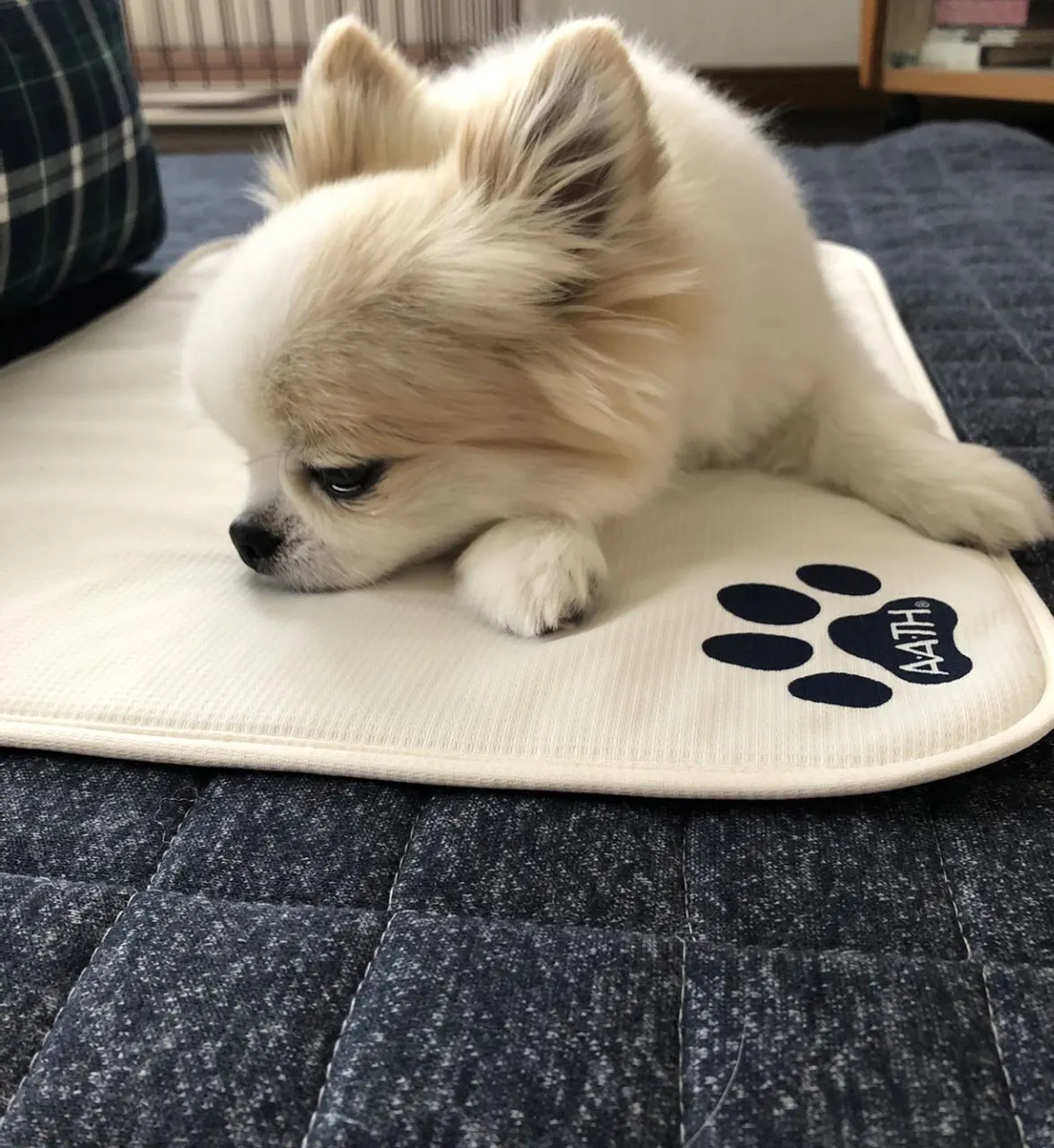 5番目のメイン画像