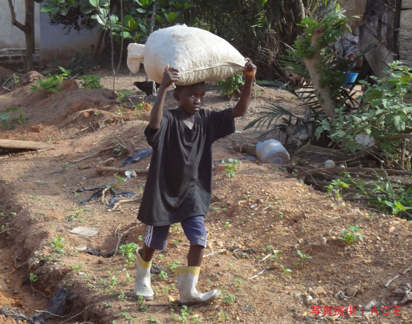 2番目のメイン画像