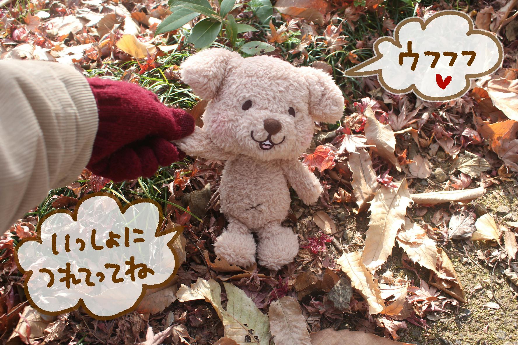 5番目のメイン画像