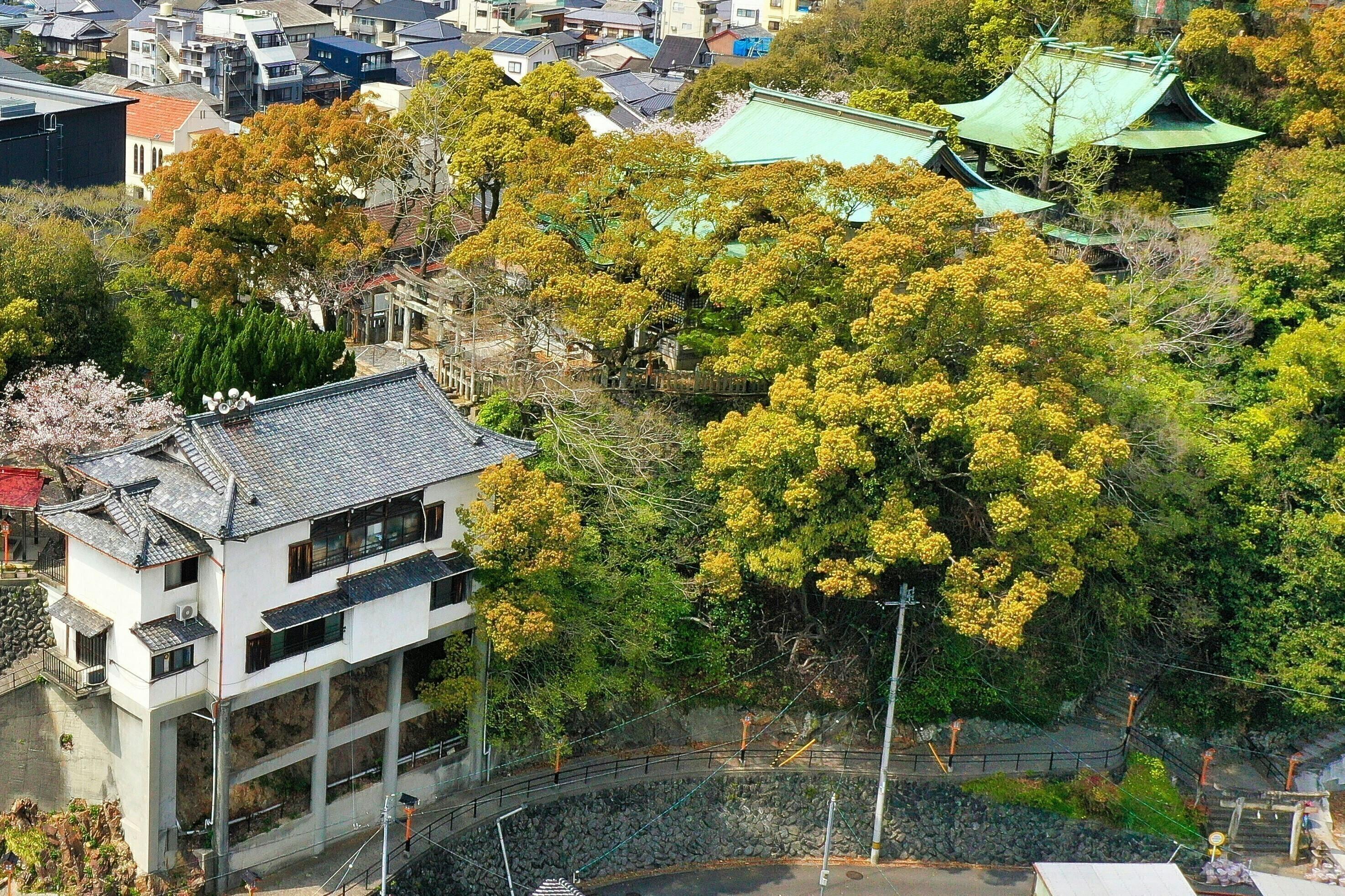 4番目のメイン画像