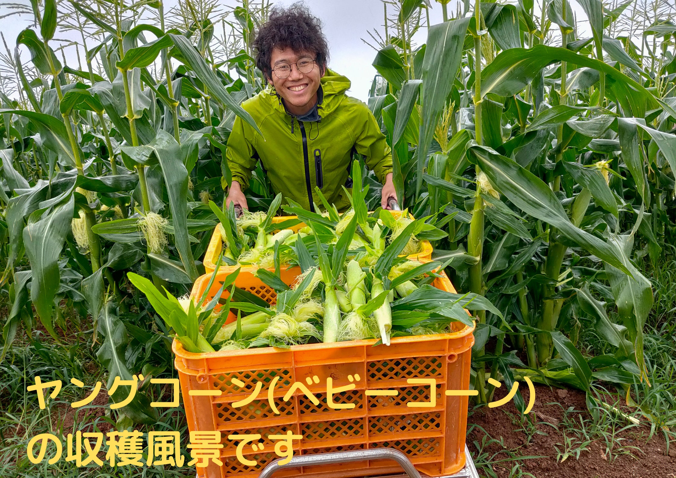 3番目のメイン画像