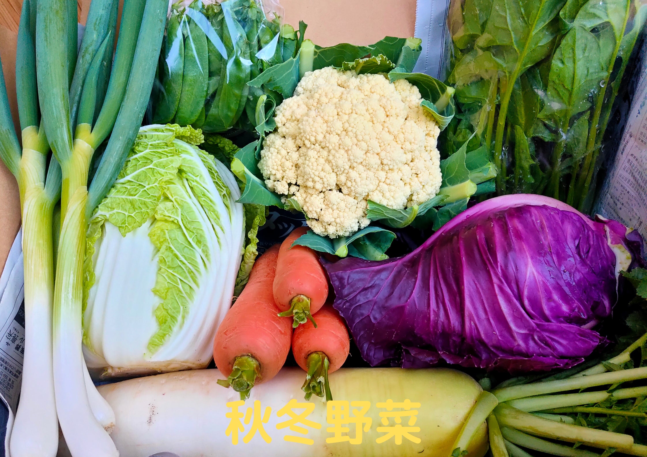 5番目のメイン画像