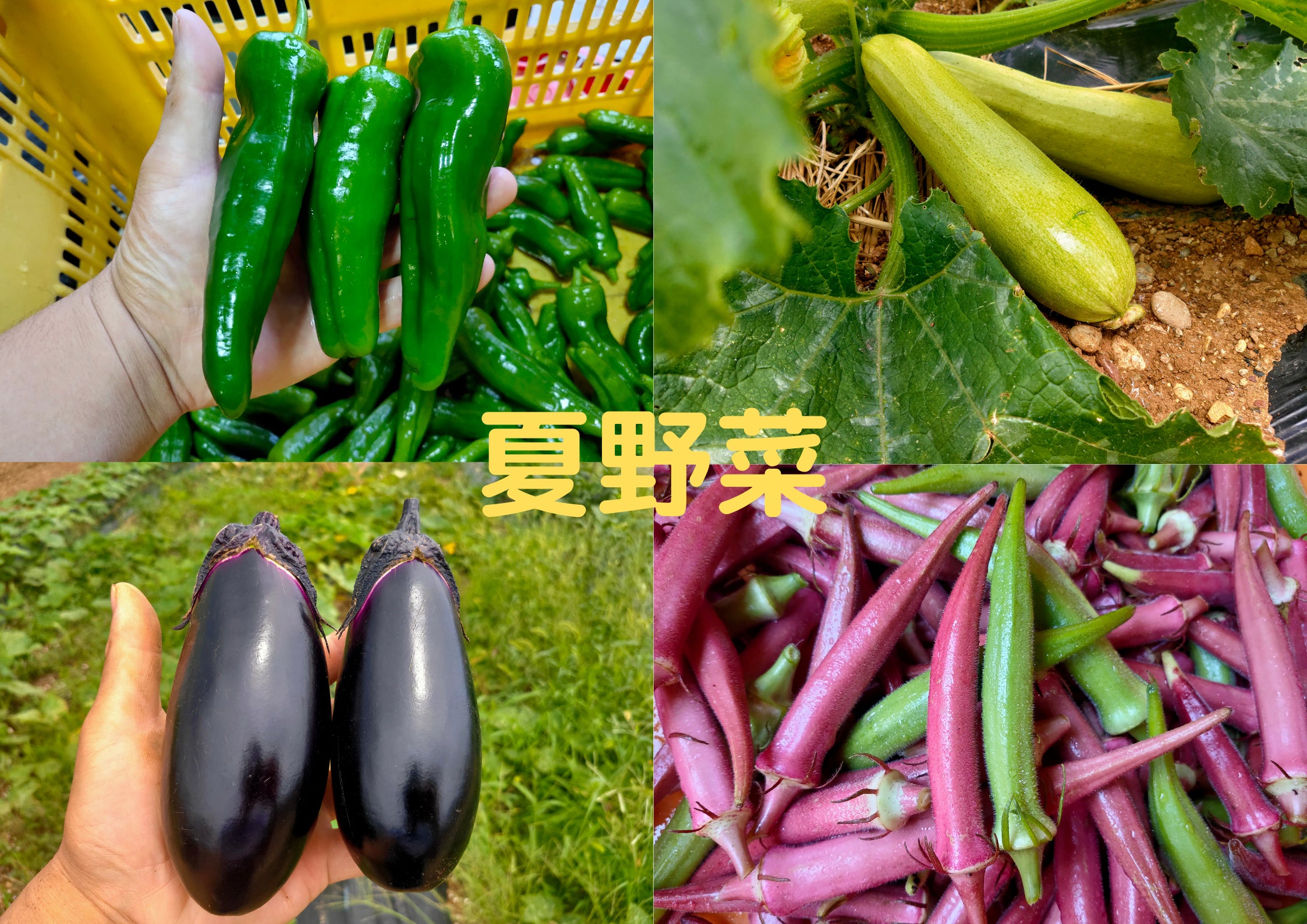 4番目のメイン画像