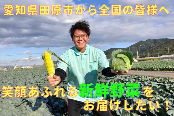 愛知県田原市から全国の皆様へ「笑顔あふれる新鮮野菜」をお届けしたい！　CAMPFIRE　(キャンプファイヤー)