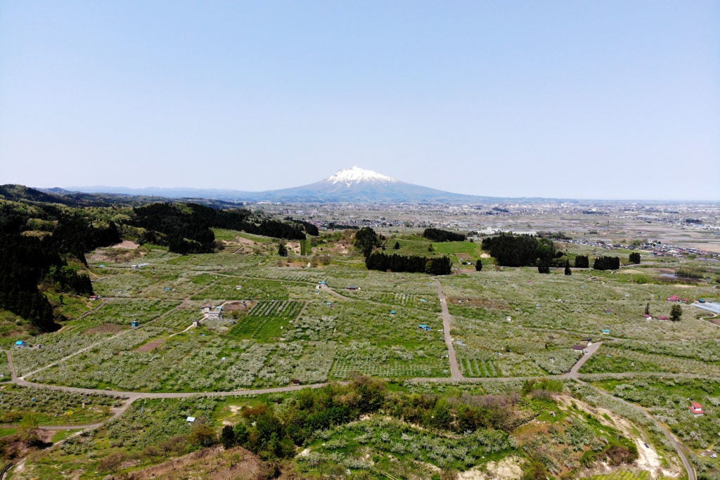 4番目のメイン画像